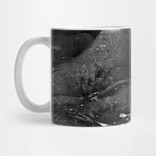 Big Tropical Fig Tree Roots Mug